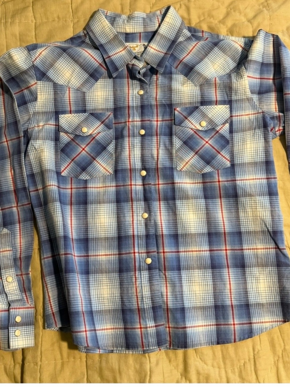 Panhandle Slim Blue Plaid Western Snap Shirt
